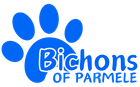 A blue logo for bichons of parmele with a paw print