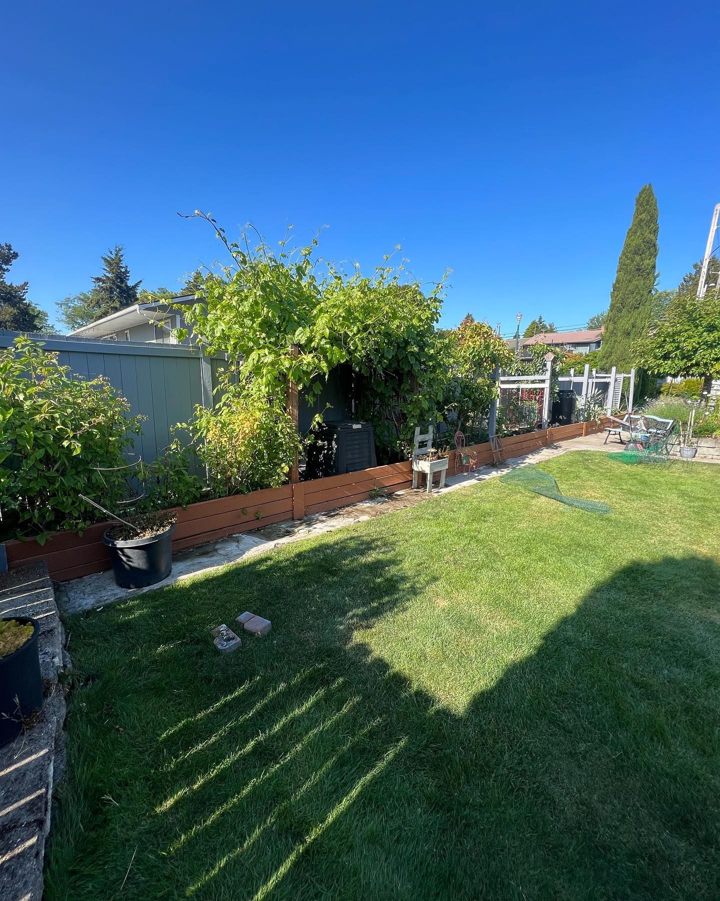 Green backyard with lawn, shed, and garden bed under a blue sky.