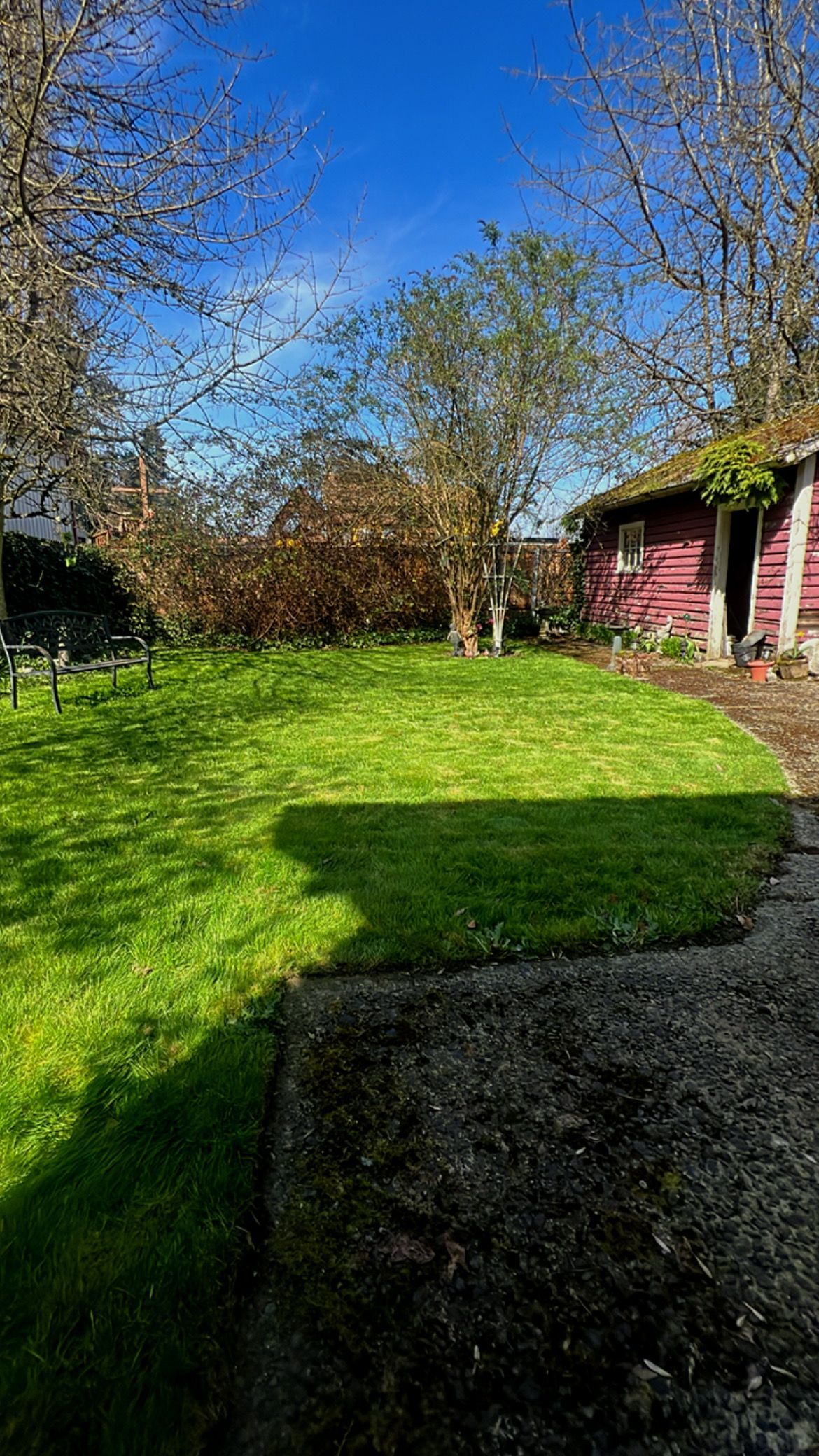 Green lawn with a tree in the center, a red shed to the right, and a bright blue sky above.