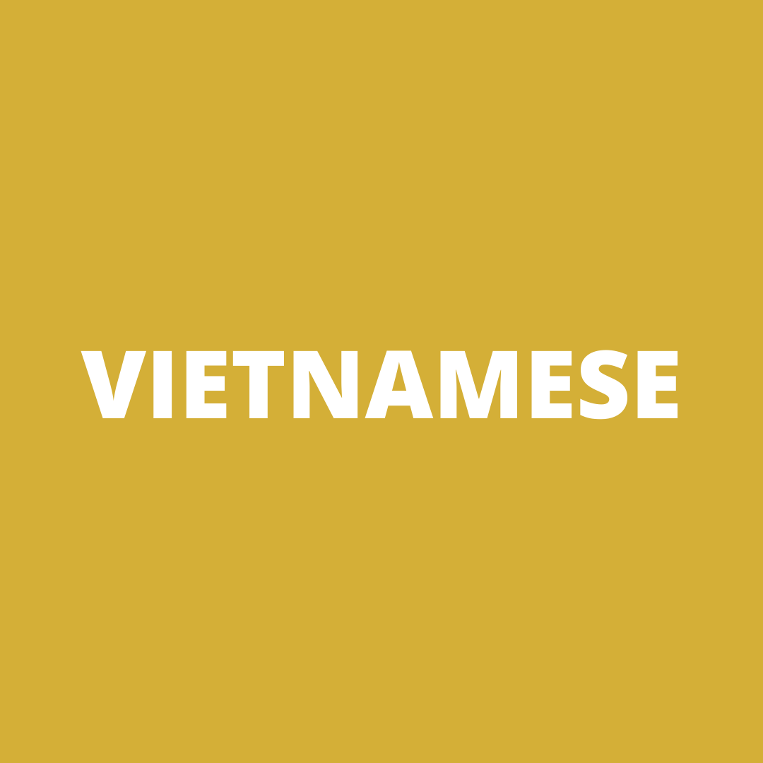 The word vietnamese is on a yellow background.