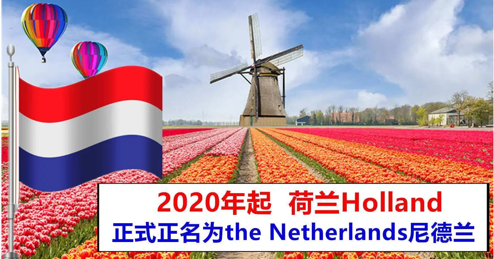 A windmill is in the middle of a field of flowers.