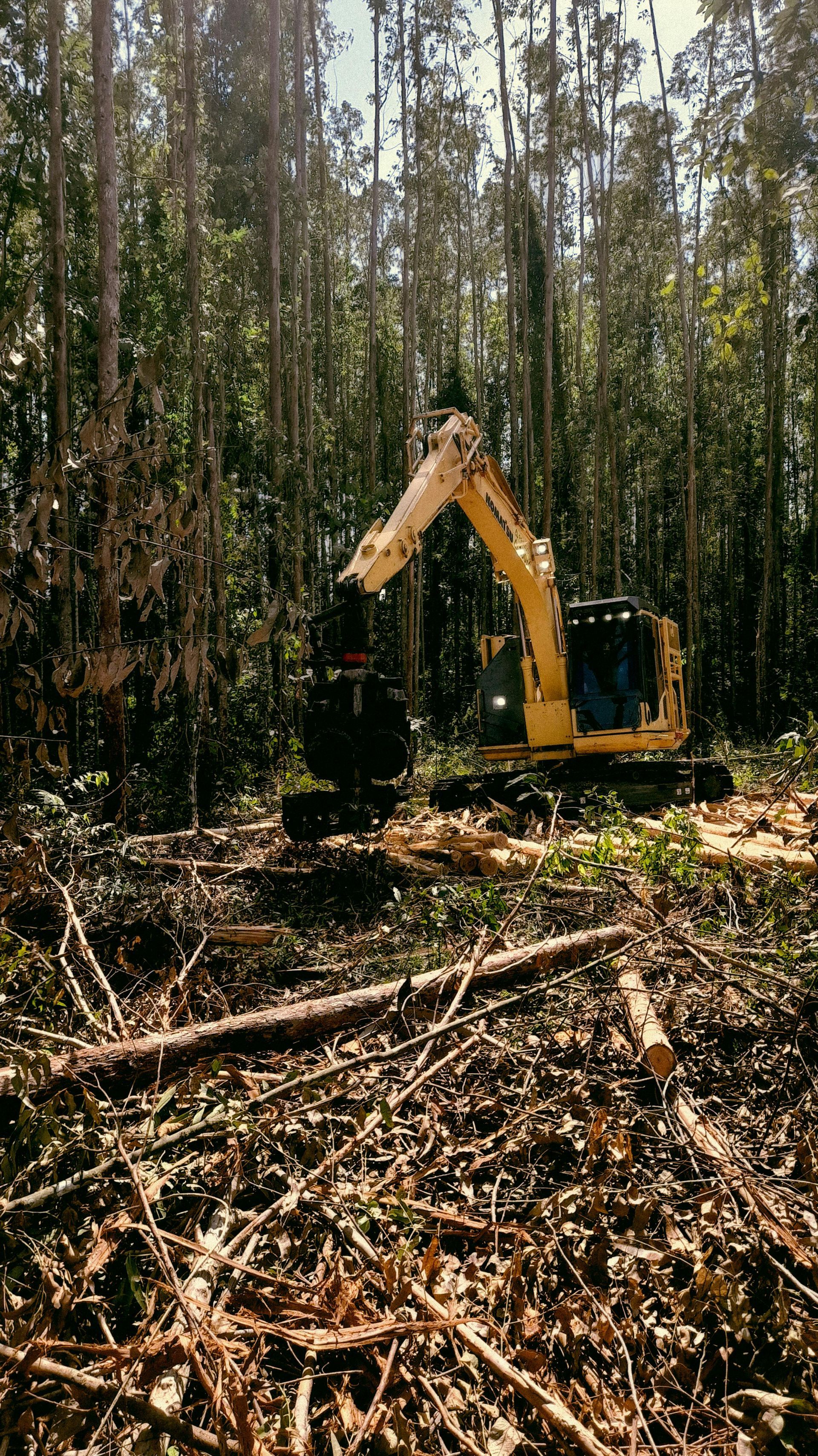 A yellow excavator is cutting down trees in a forest.