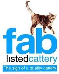 fab logo