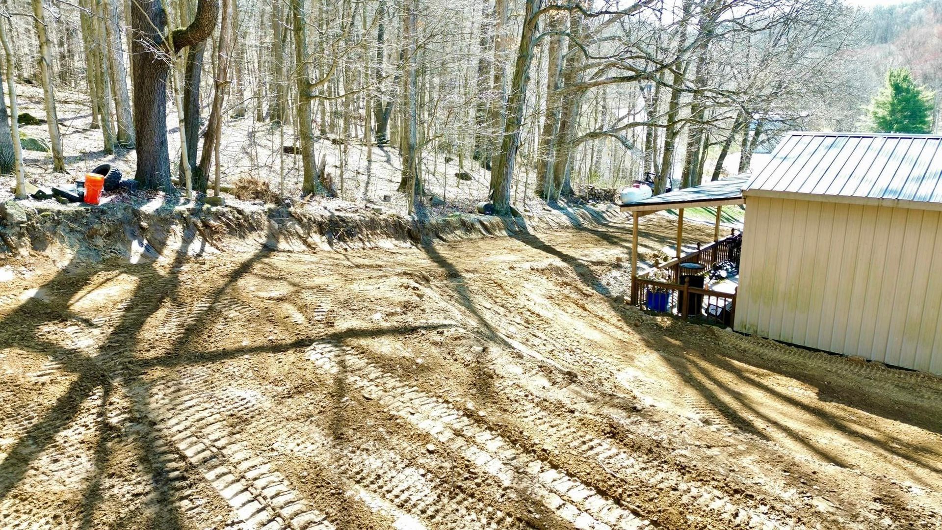 A dirt road leading to a shed in the woods.