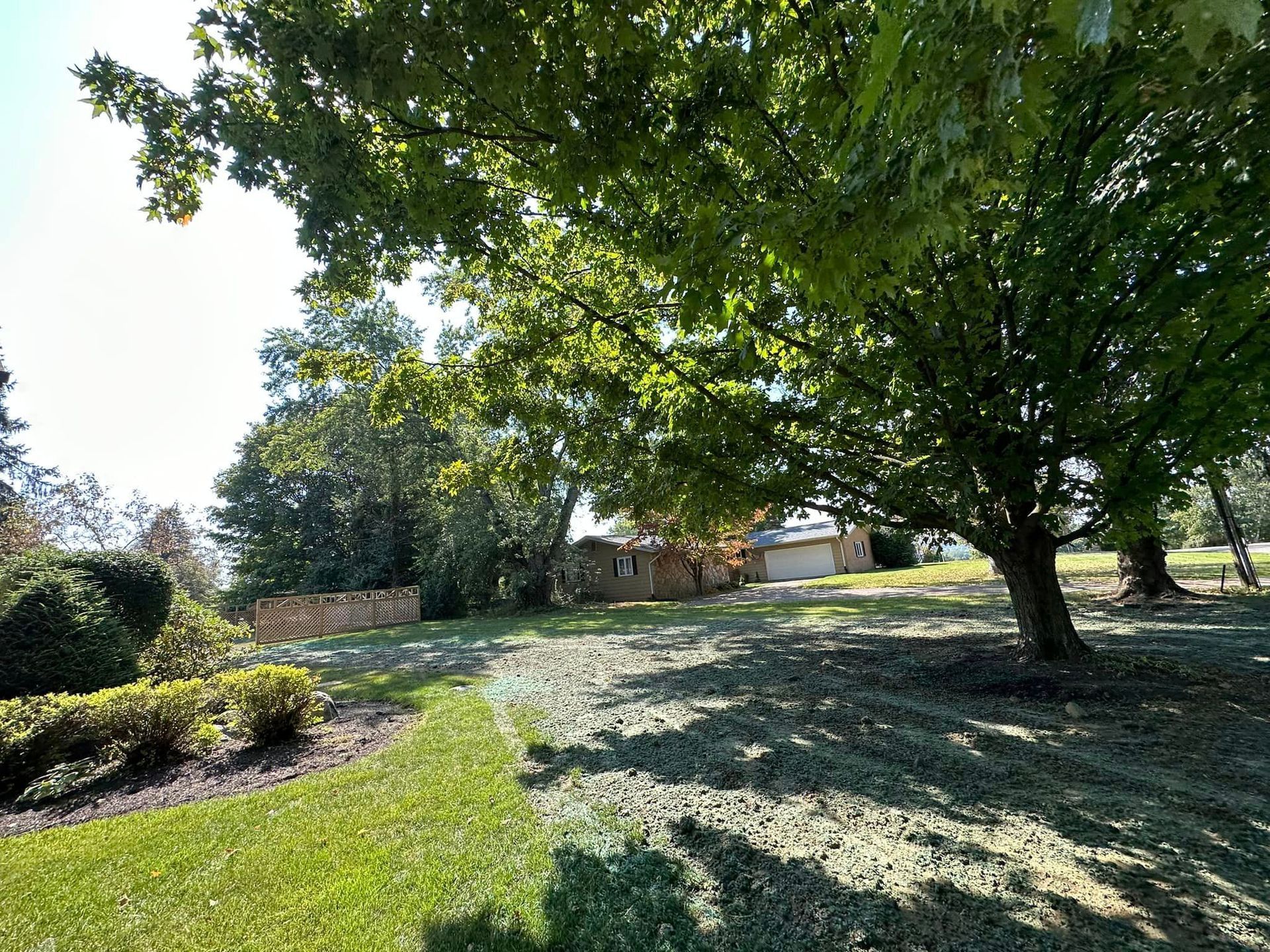 A lush green field with trees and bushes on a sunny day.