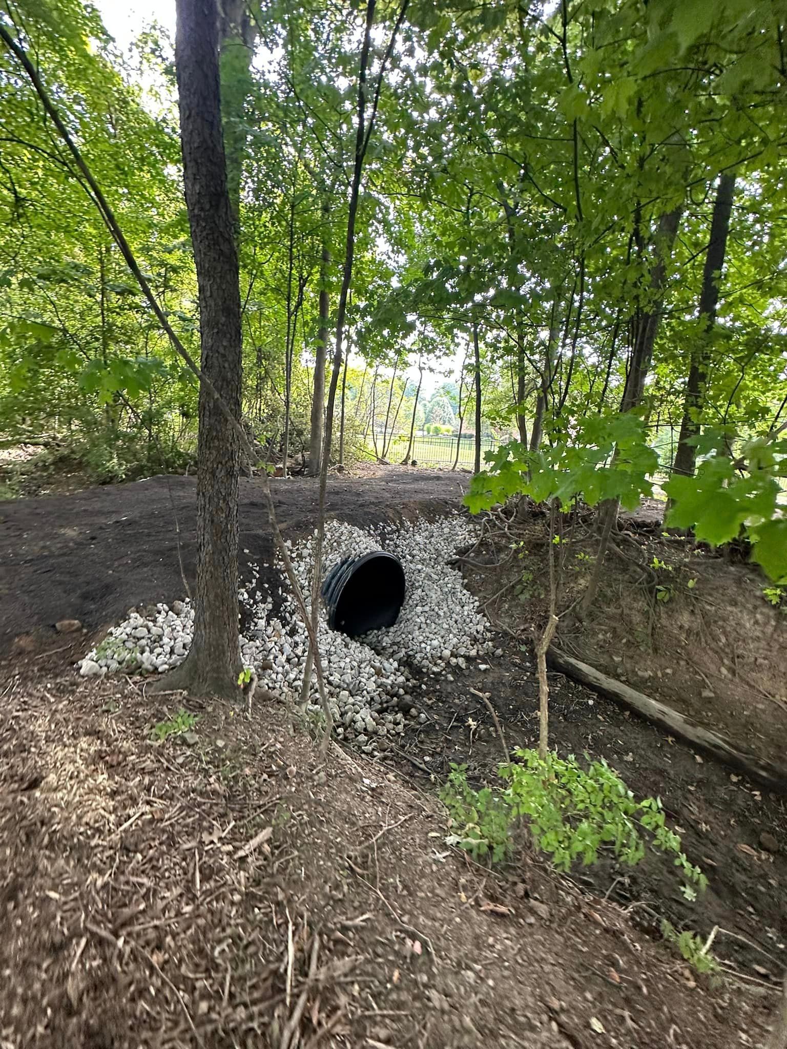 There is a hole in the ground in the middle of the woods.