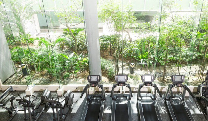 A gym with a lot of natural light and plants