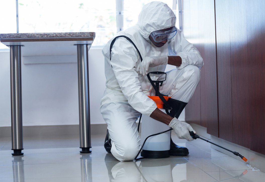 A suited up professional cleaner thoroughly cleaning office corners to avoid pests
