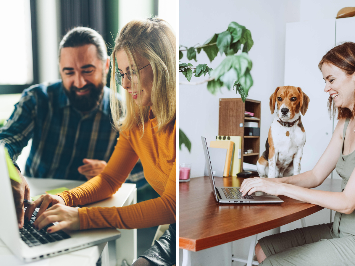 on the left: woman working at office with her colleague, on the right: work from her home with a dog beside her