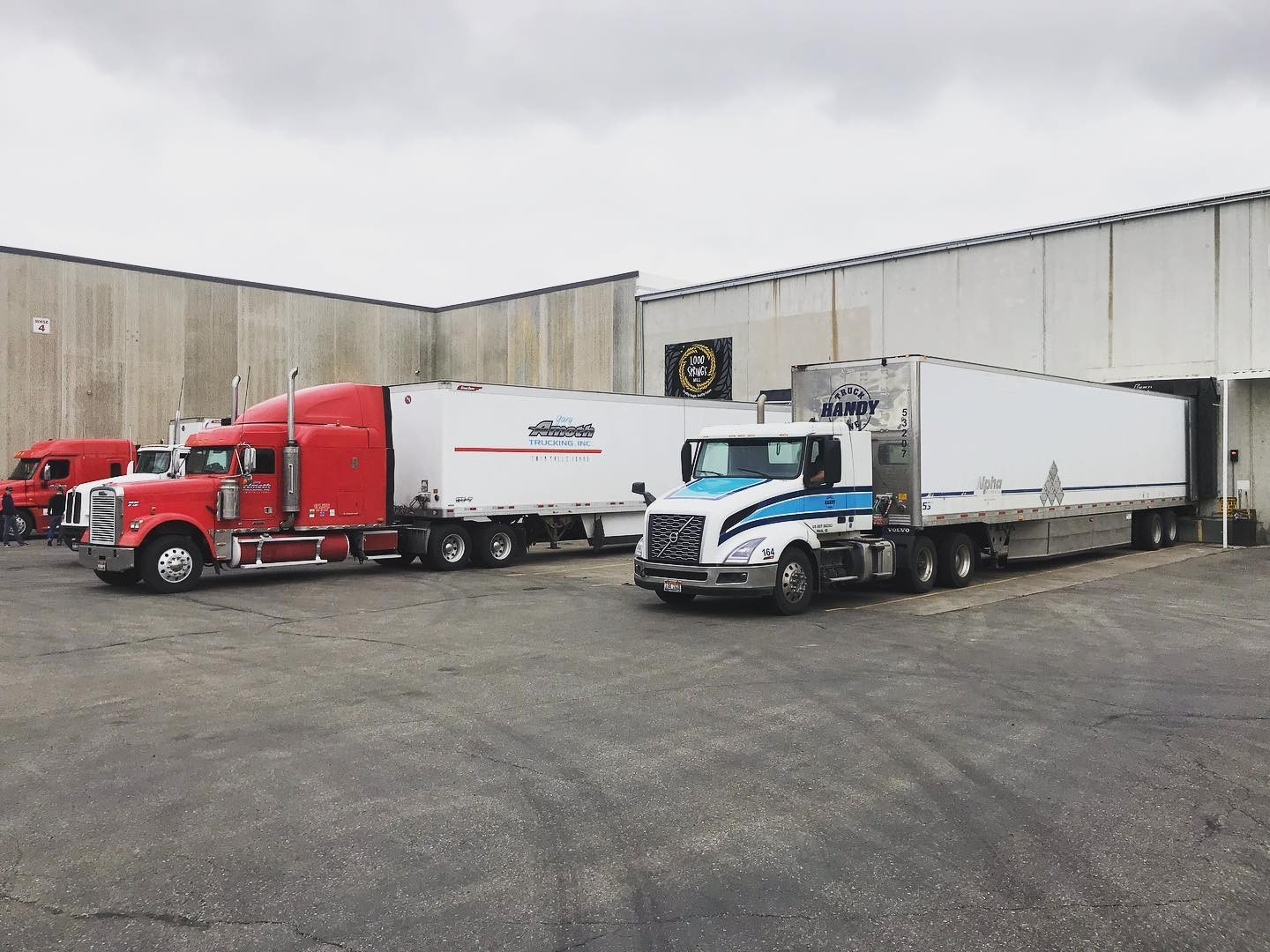 Several long haul trucks docked at the warehouse loading bay.
