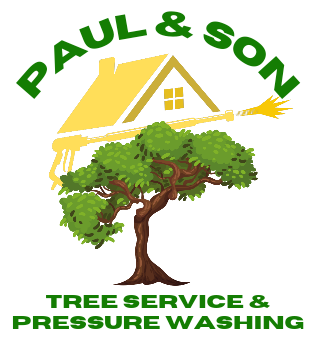 Paul & Son LLC logo
