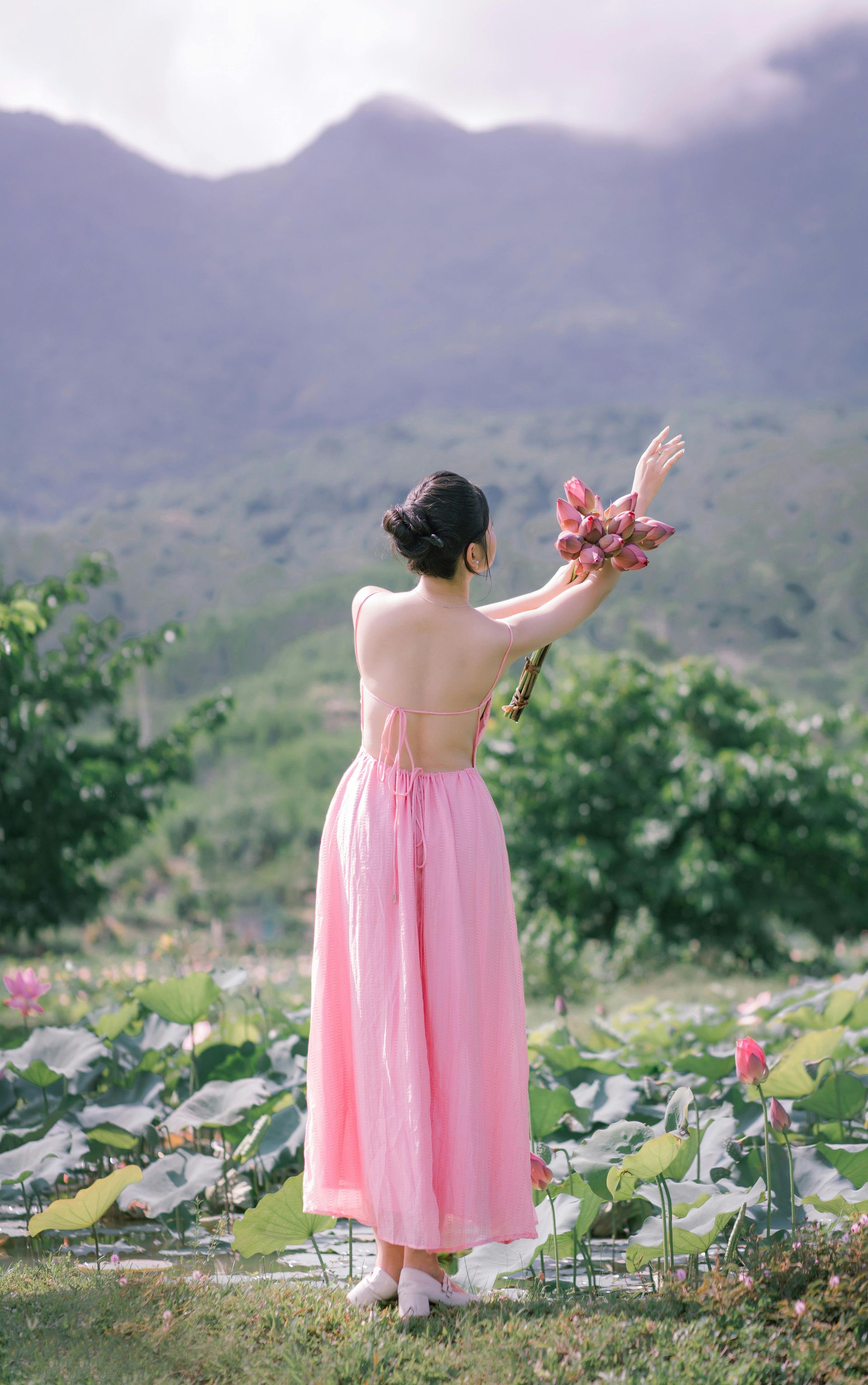 A woman in a pink dress is standing in a field of lotus flowers.