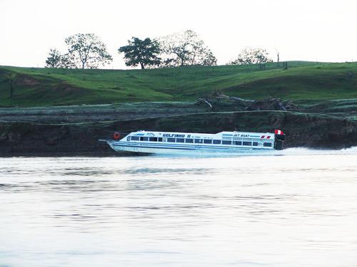 Transporte Golfinho,  transporte acuático