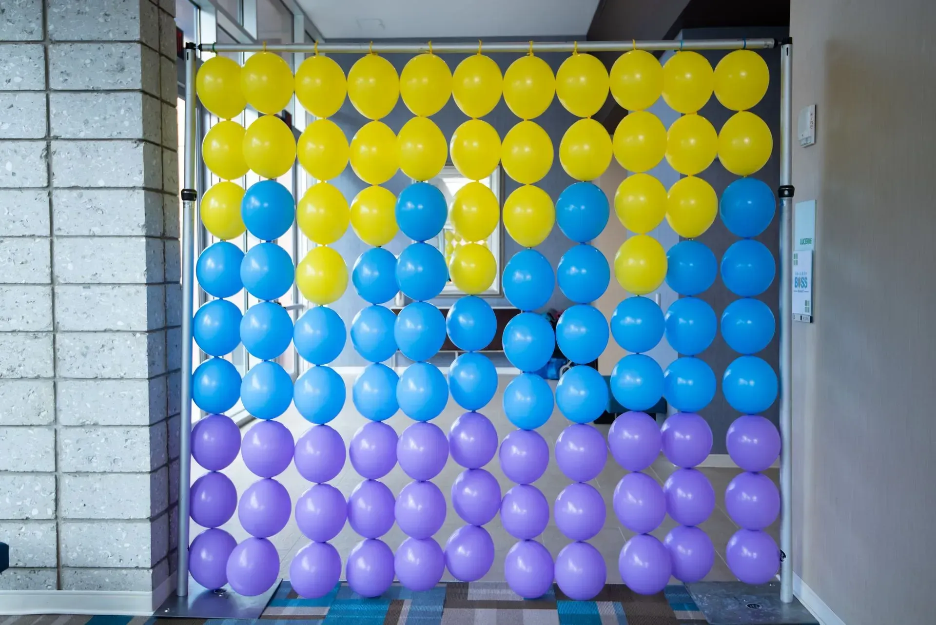 Balloon wall with yellow, blue, and purple balloons arranged in rows against a gray frame.