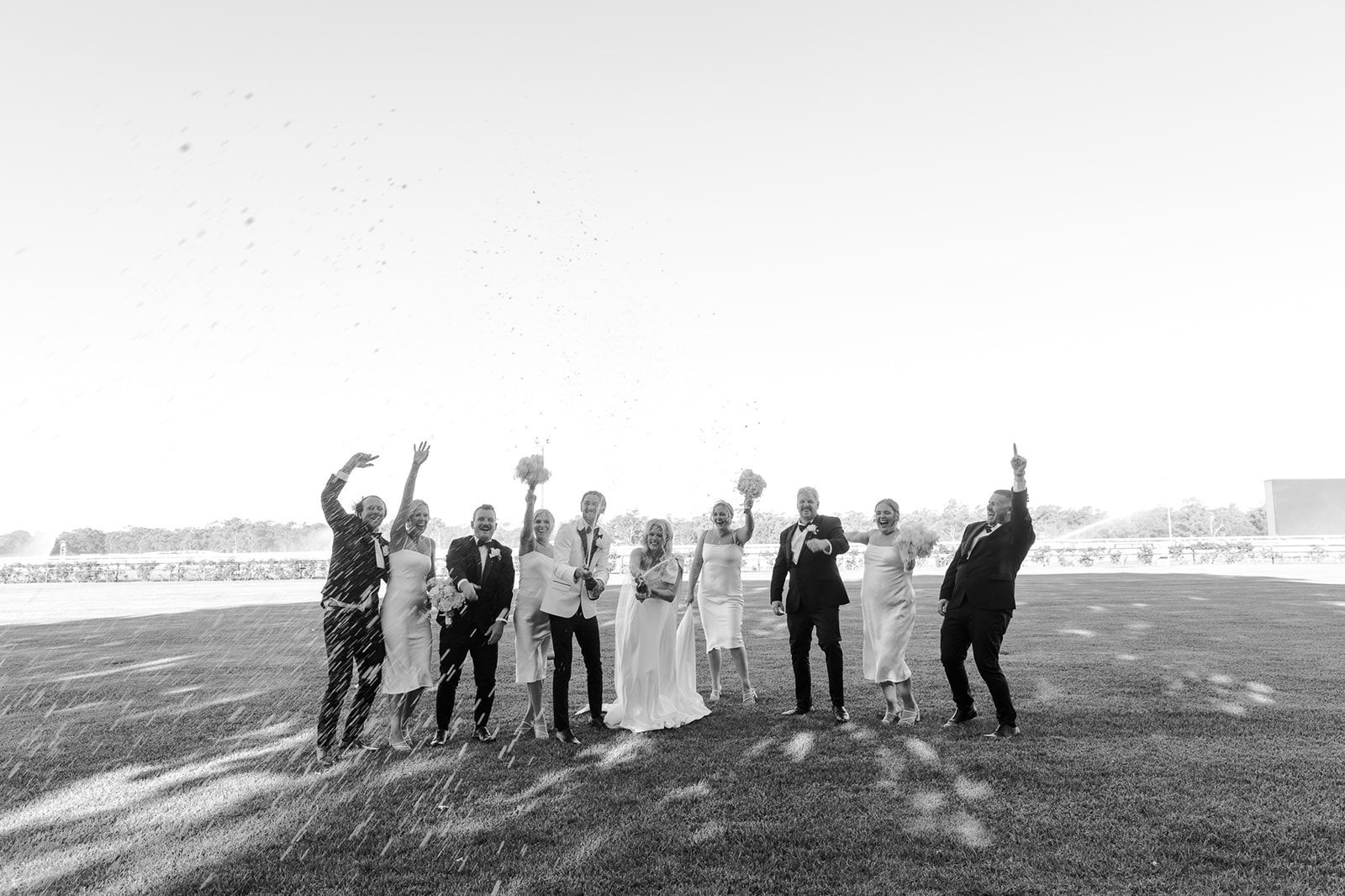 newlywed couple, groomsmen, bridesmaids