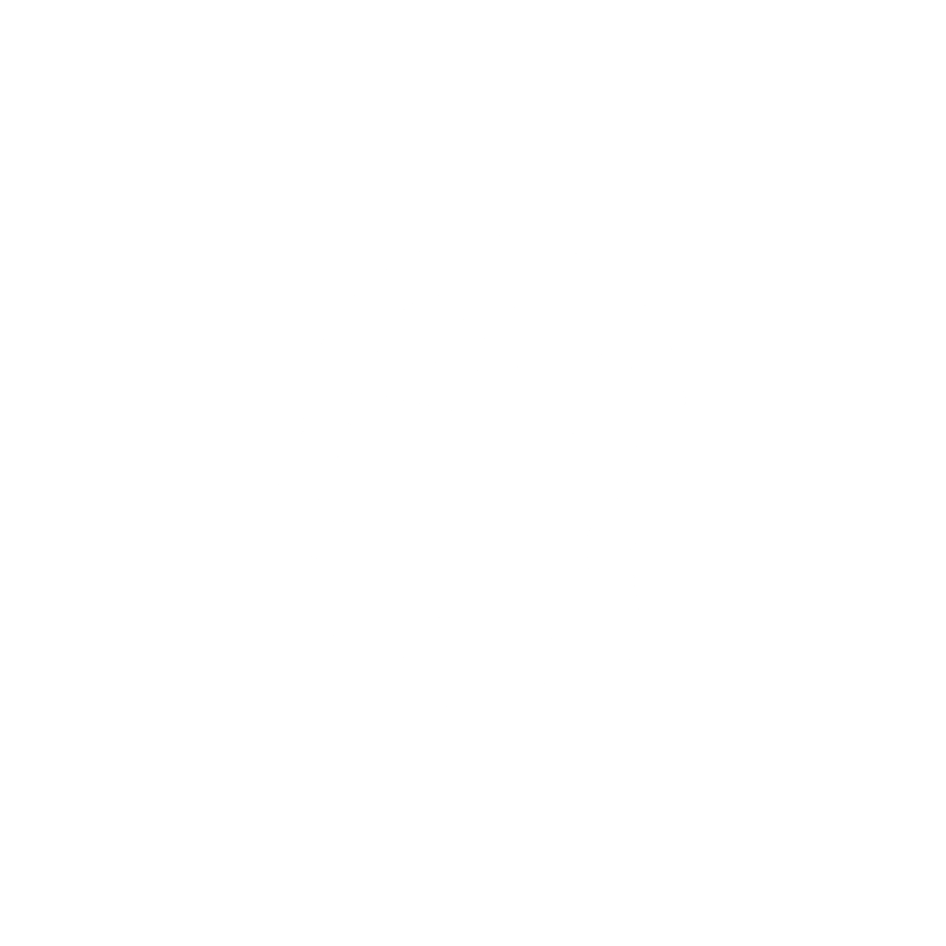 Brain injuries Icon