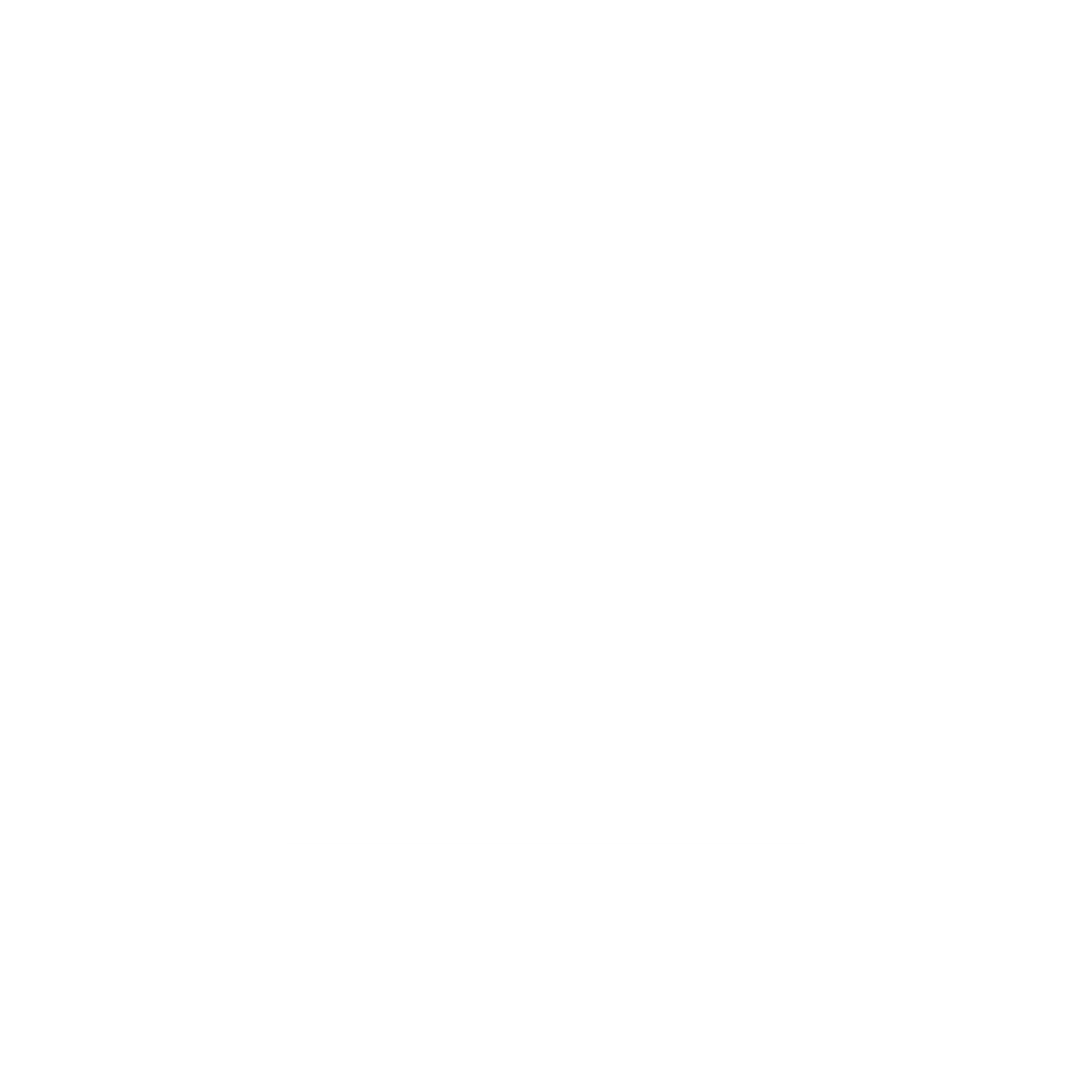 Social Security Numbers Icon