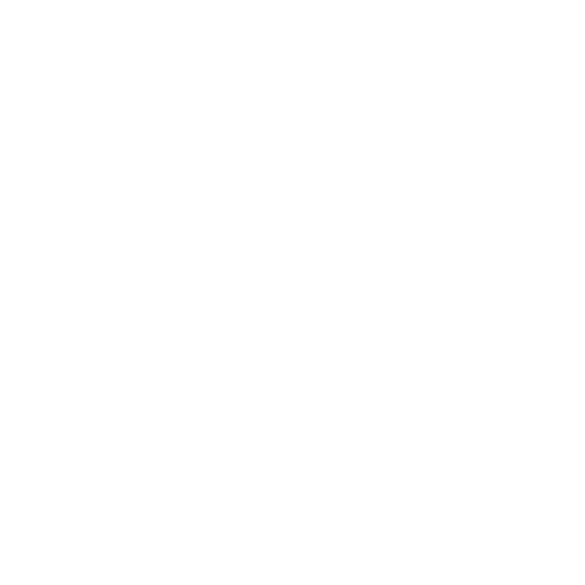 Spinal Cord injuries Icon