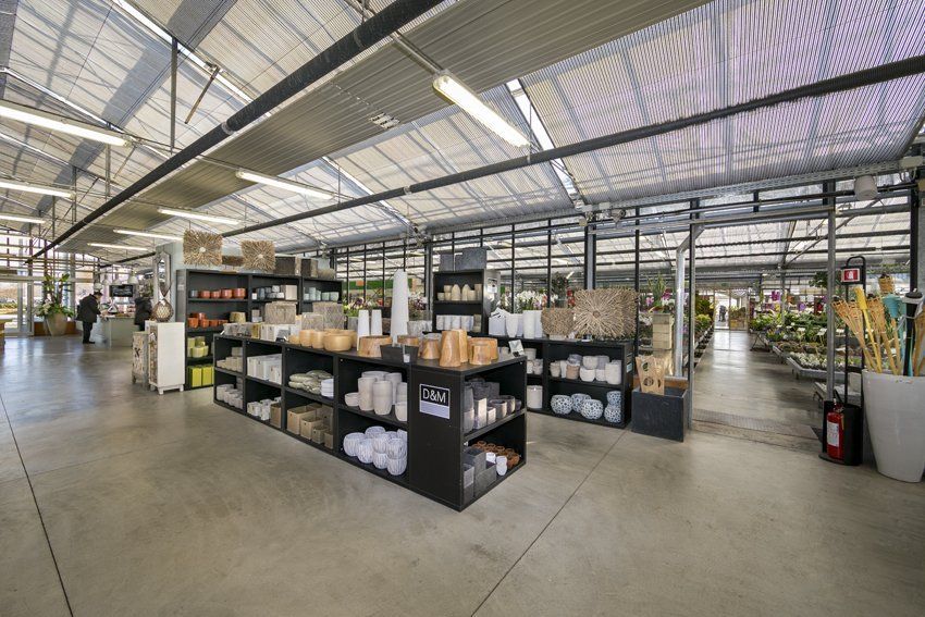 fotografie del vivaio