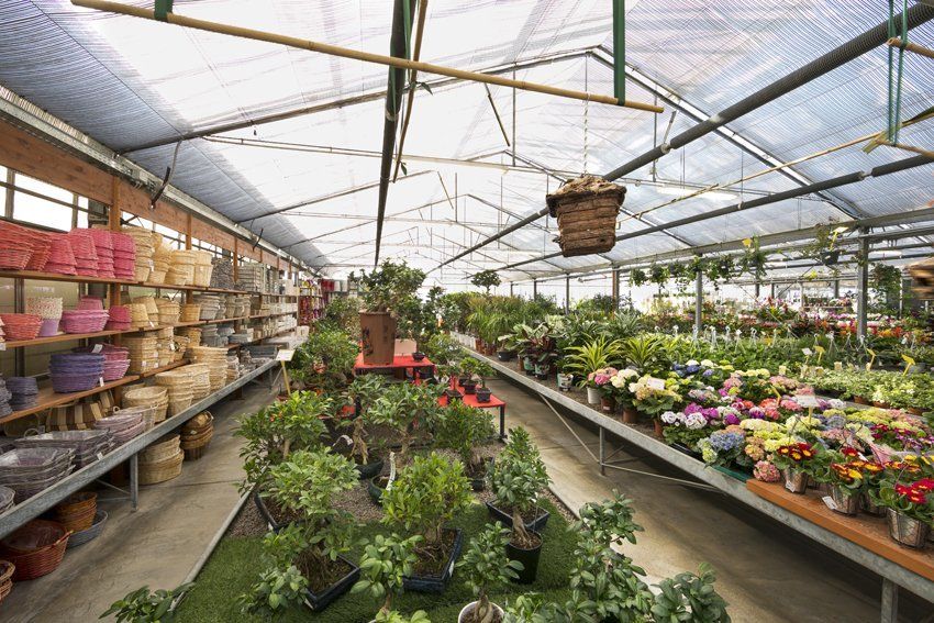 accessori per esterni