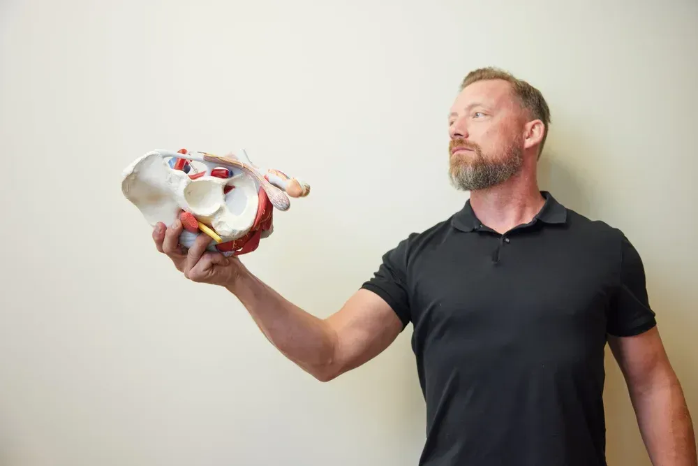 A person with a beard in a black polo shirt holds and examines an anatomical model of a human pelvis.