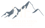 A silhouette of a mountain with the words `` mind elevation '' below it.
