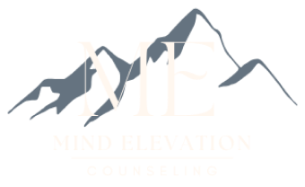 A silhouette of a mountain with the words `` mind elevation '' below it.