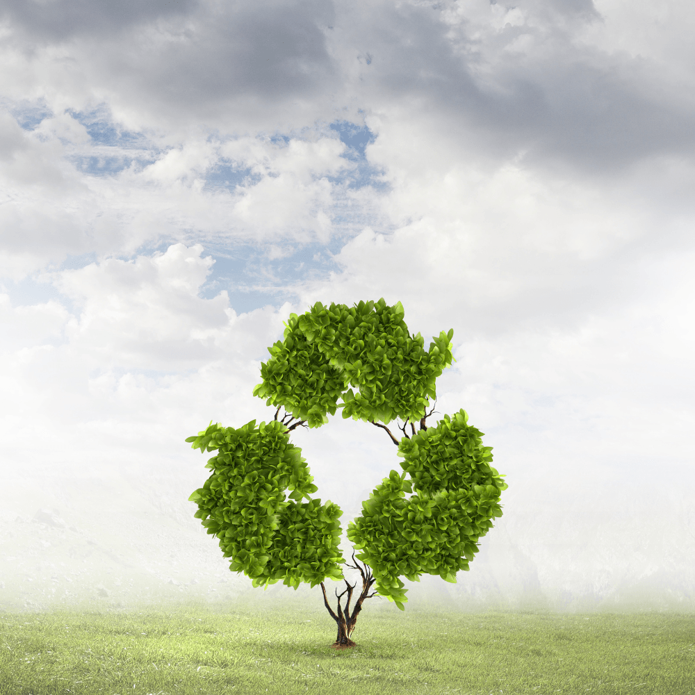 A tree shaped like a recycling symbol in a field
