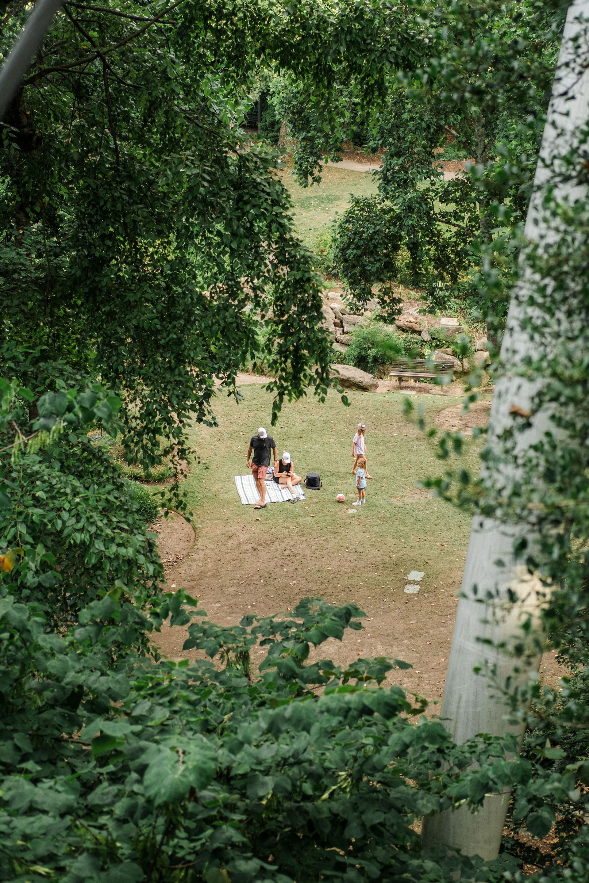 A group of people are having a picnic in a park.