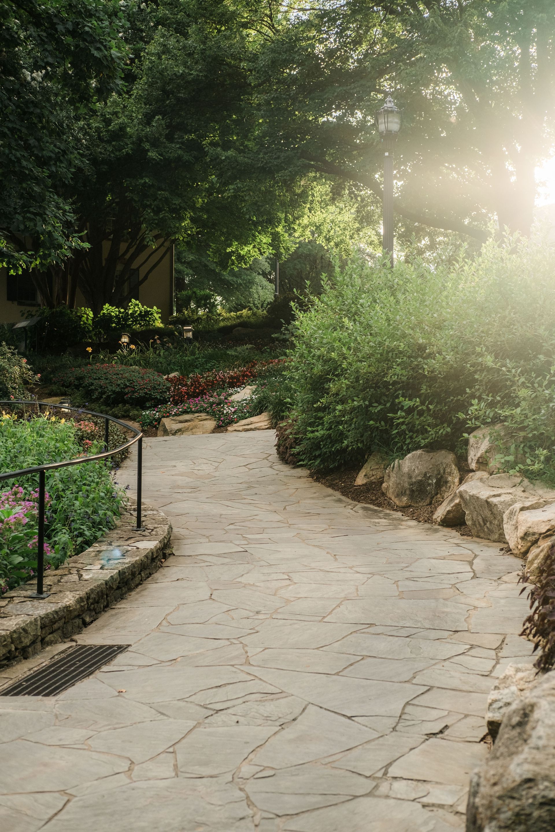 The sun is shining through the trees on a stone path in a garden.