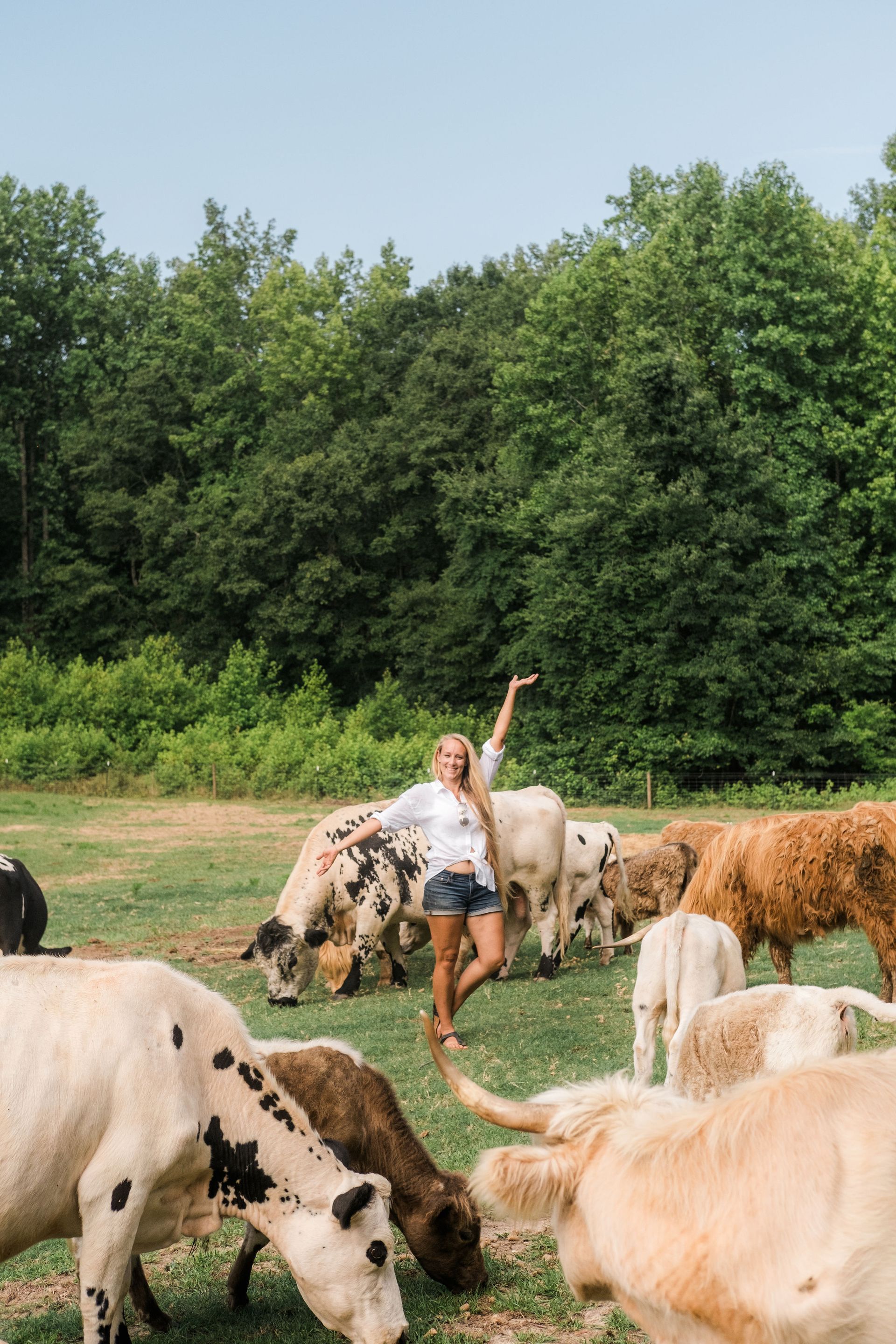A woman is standing in a field with a herd of cows.