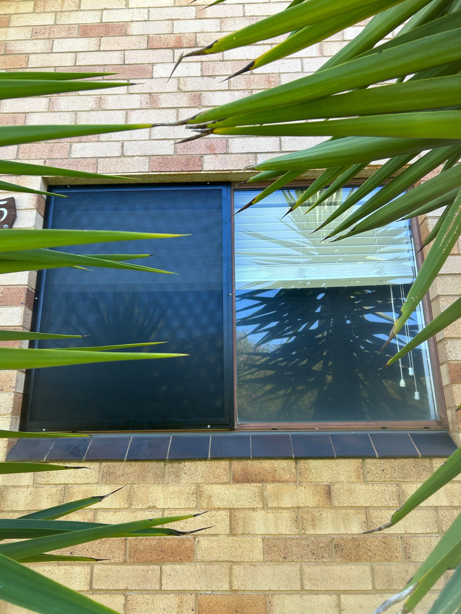 A  Security Screen Over A Window — Ingrams Installations in Wagga Wagga, NSW