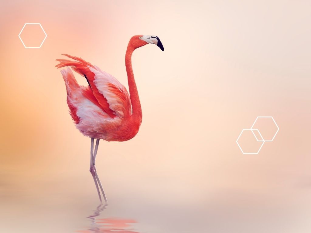Creatief leiderschap vraagt om visie, lef en verbeeldingskracht — maar minstens zo belangrijk is het