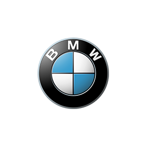 Il logo BMW presenta un bordo circolare nero con lettere bianche e un centro a scacchi blu e bianco.