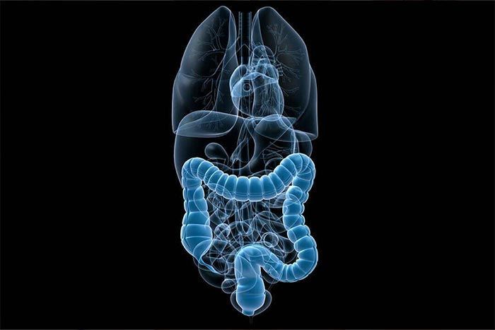 Dr. Alejandro Olguín Guerra