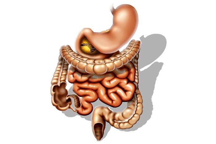 Dr. Alejandro Olguín Guerra