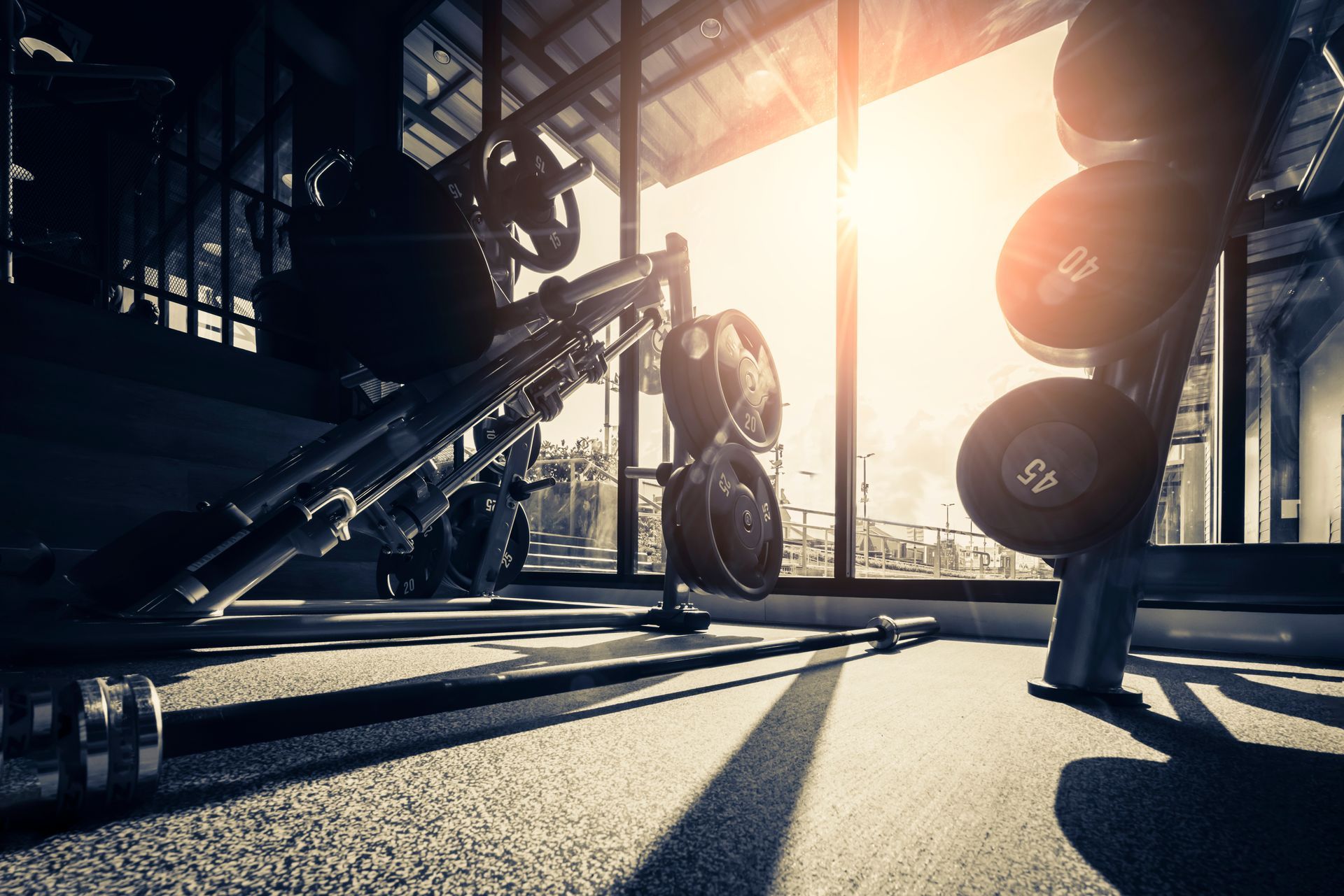 Gym interior with equipment, including a weight rack with plates in the foreground, bathed in bright sunlight.