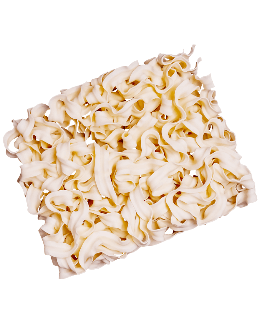 doctor-noodle