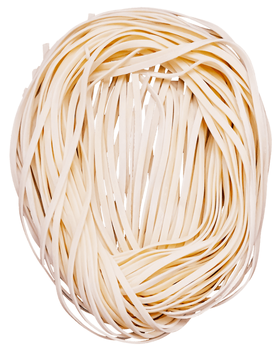 doctor-noodle