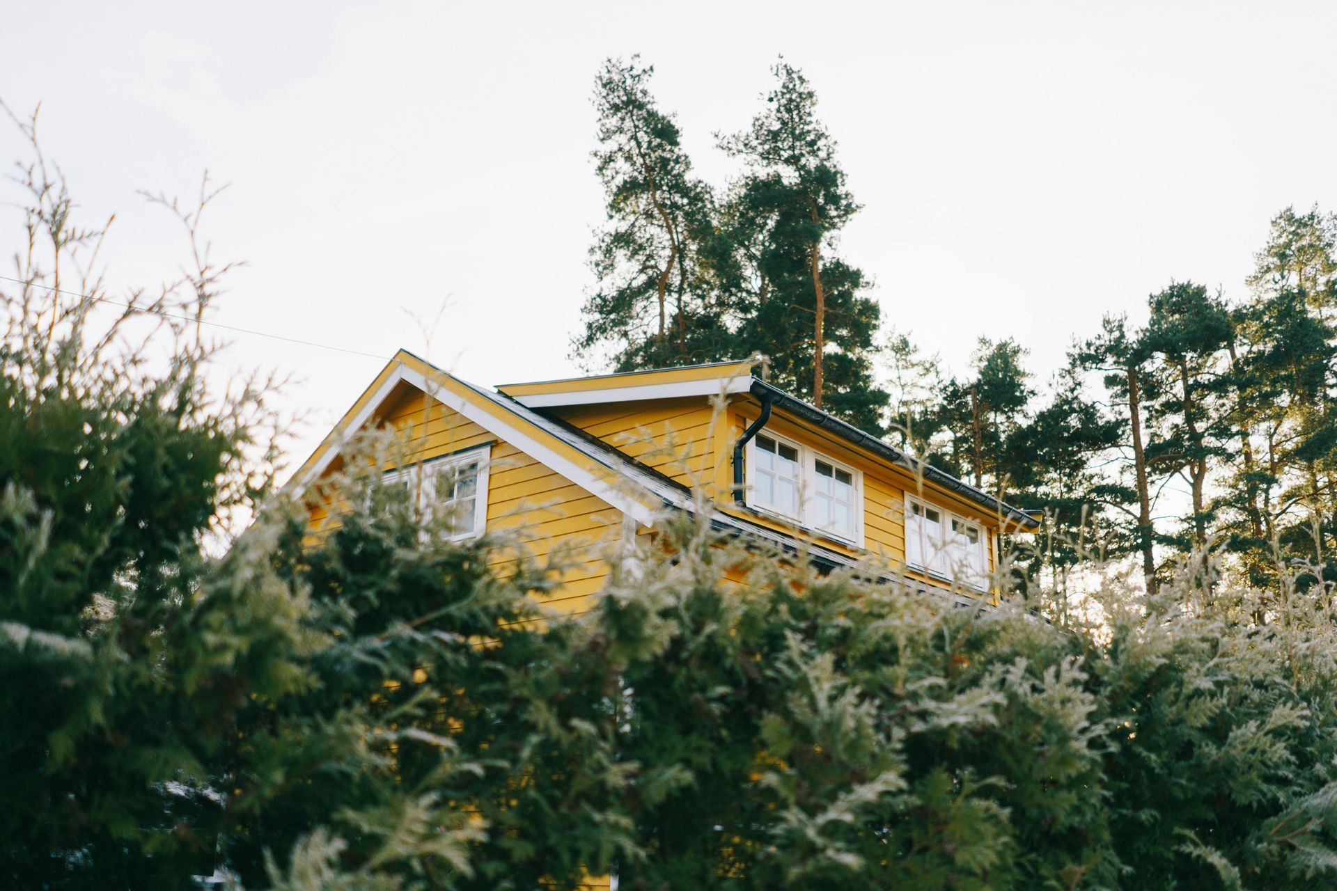 Yellow house nestled among dense green trees and shrubs under a bright sky