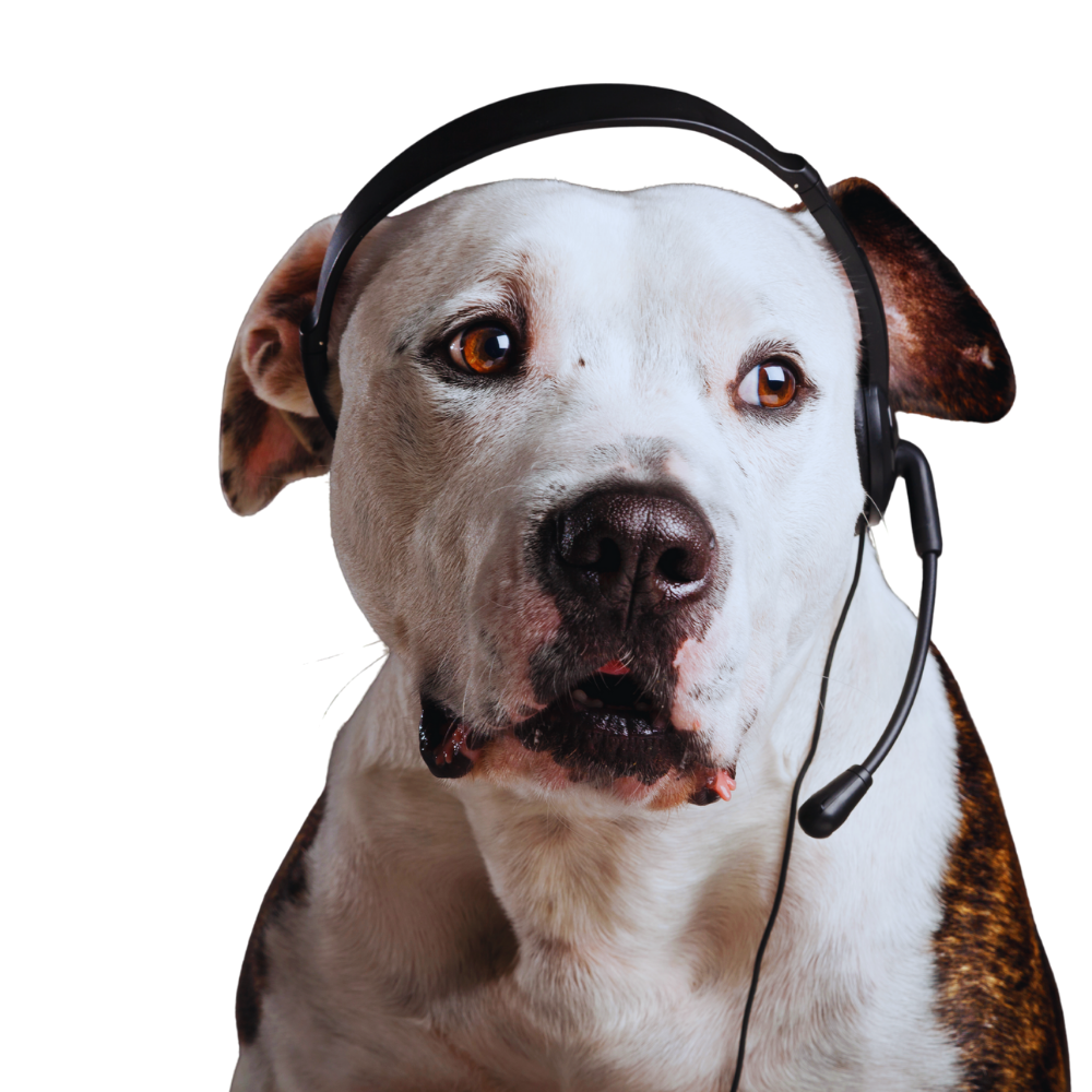 waste not wanted pet waste removal - dog poop cleaning henrico va