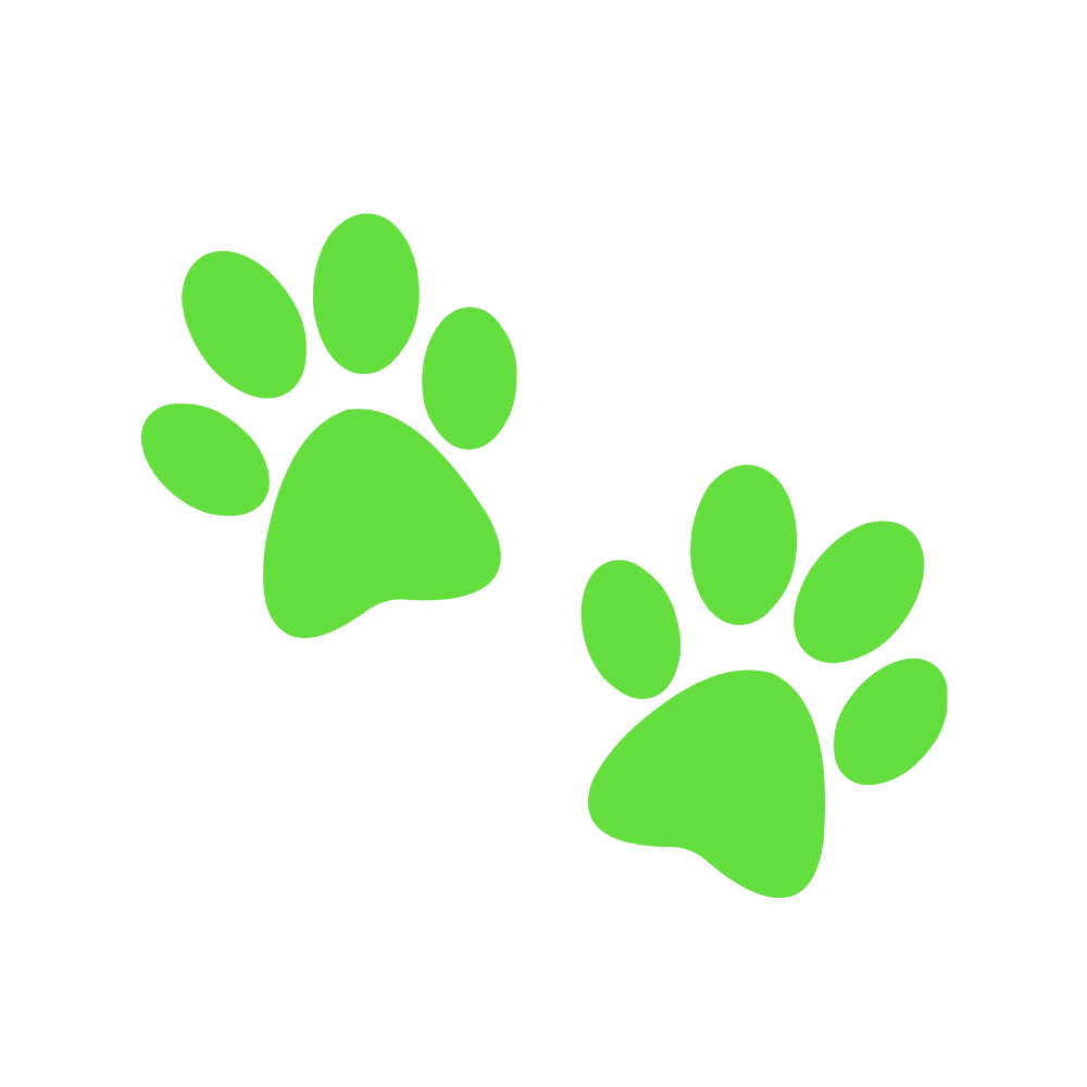 pooper scooper henrico va - pet waste services