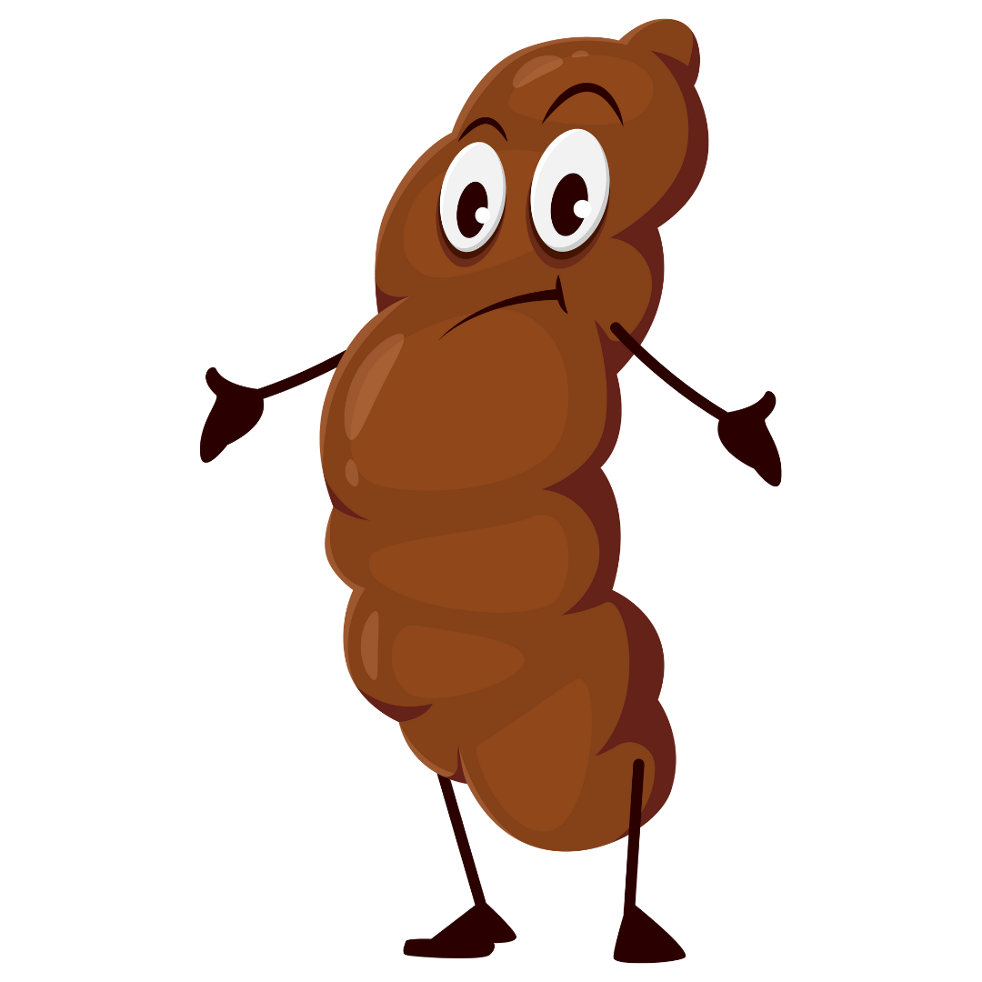 dog poop removal - waste not wanted pet waste removal henrico va