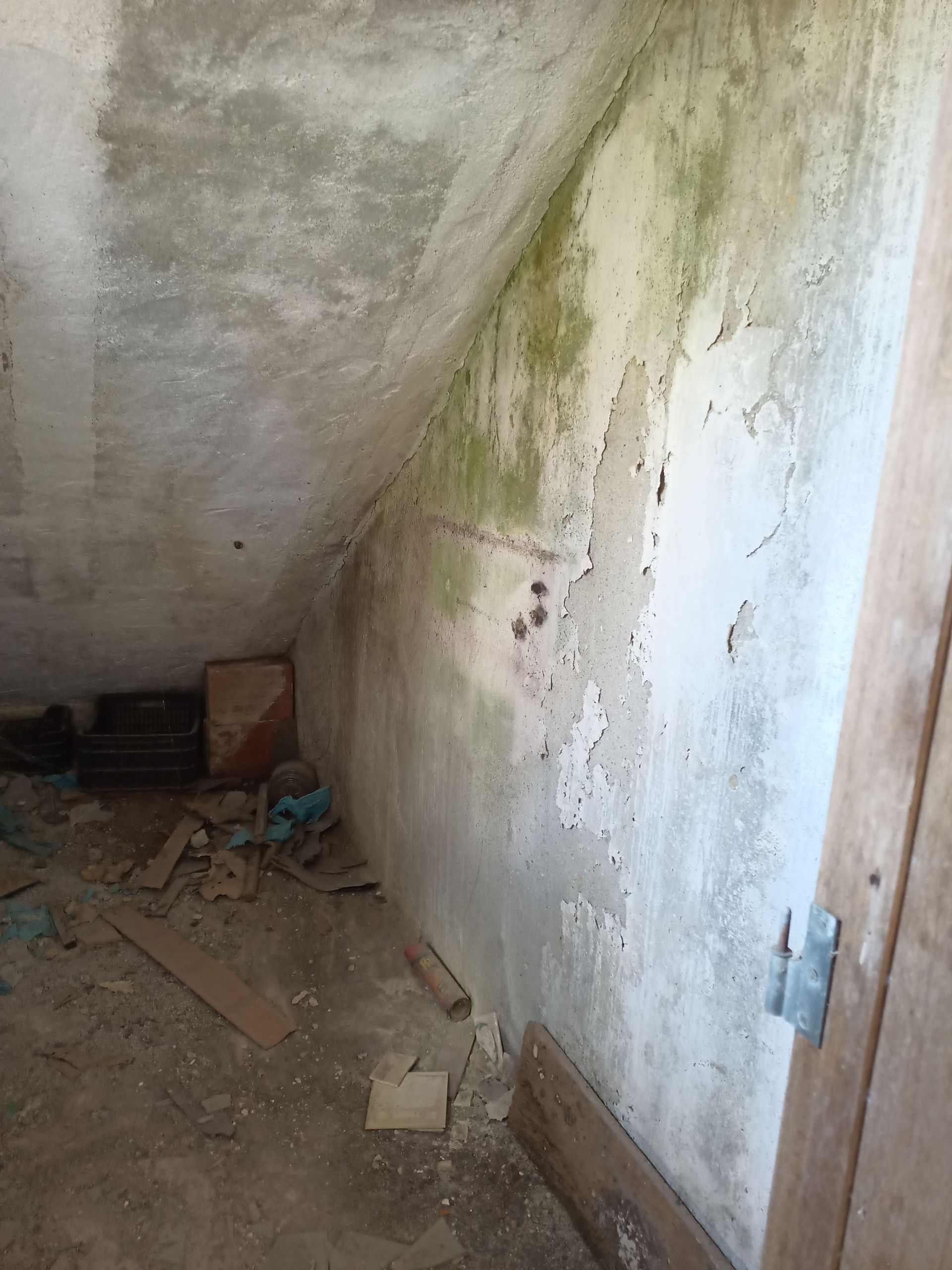 Vista interna de um cômodo em ruínas com danos causados ​​pela umidade, mofo verde e teto inclinado.