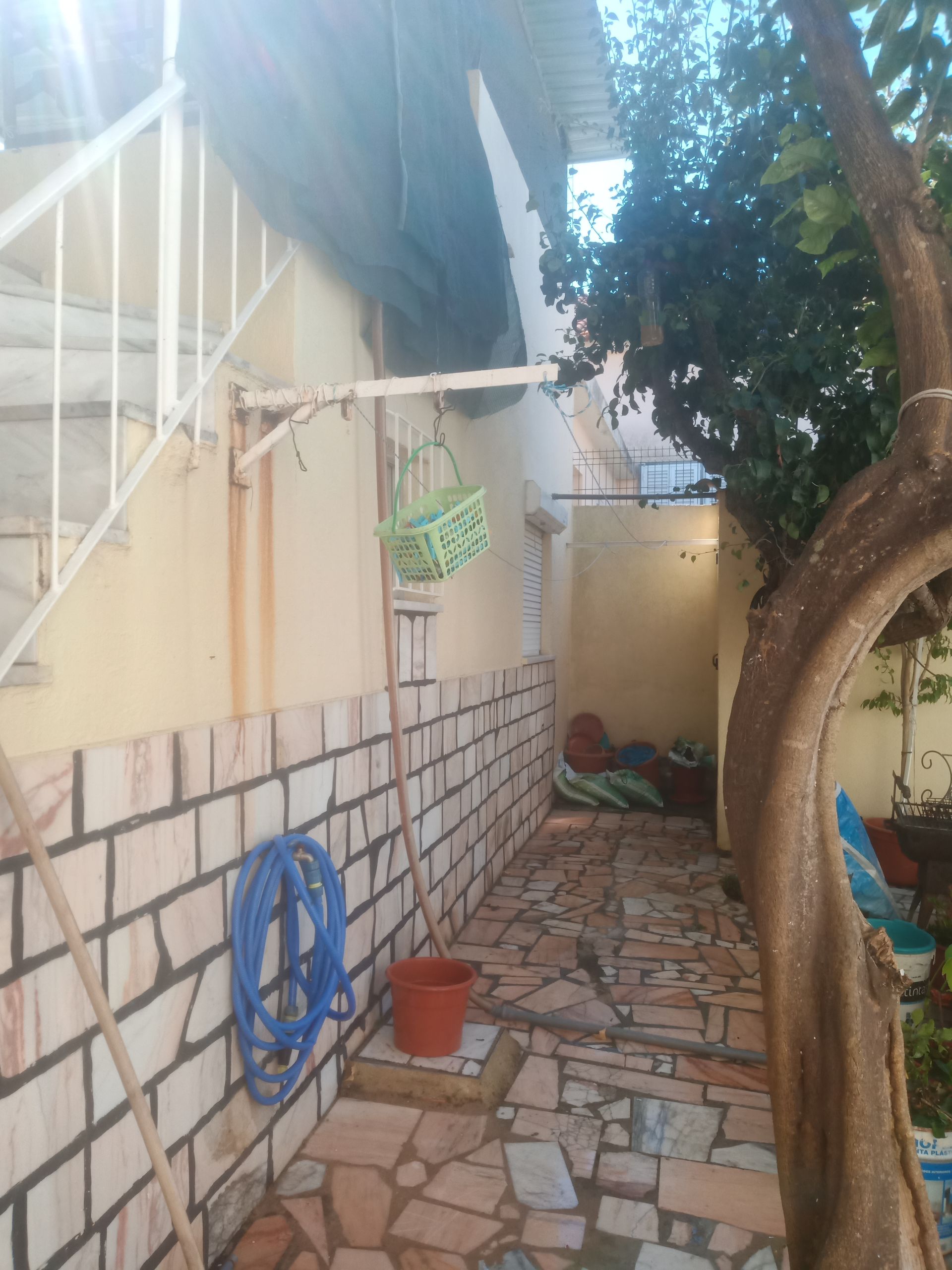 Passarela estreita ao ar livre com muros de pedra e tijolo, mangueira, degraus e planta suspensa.