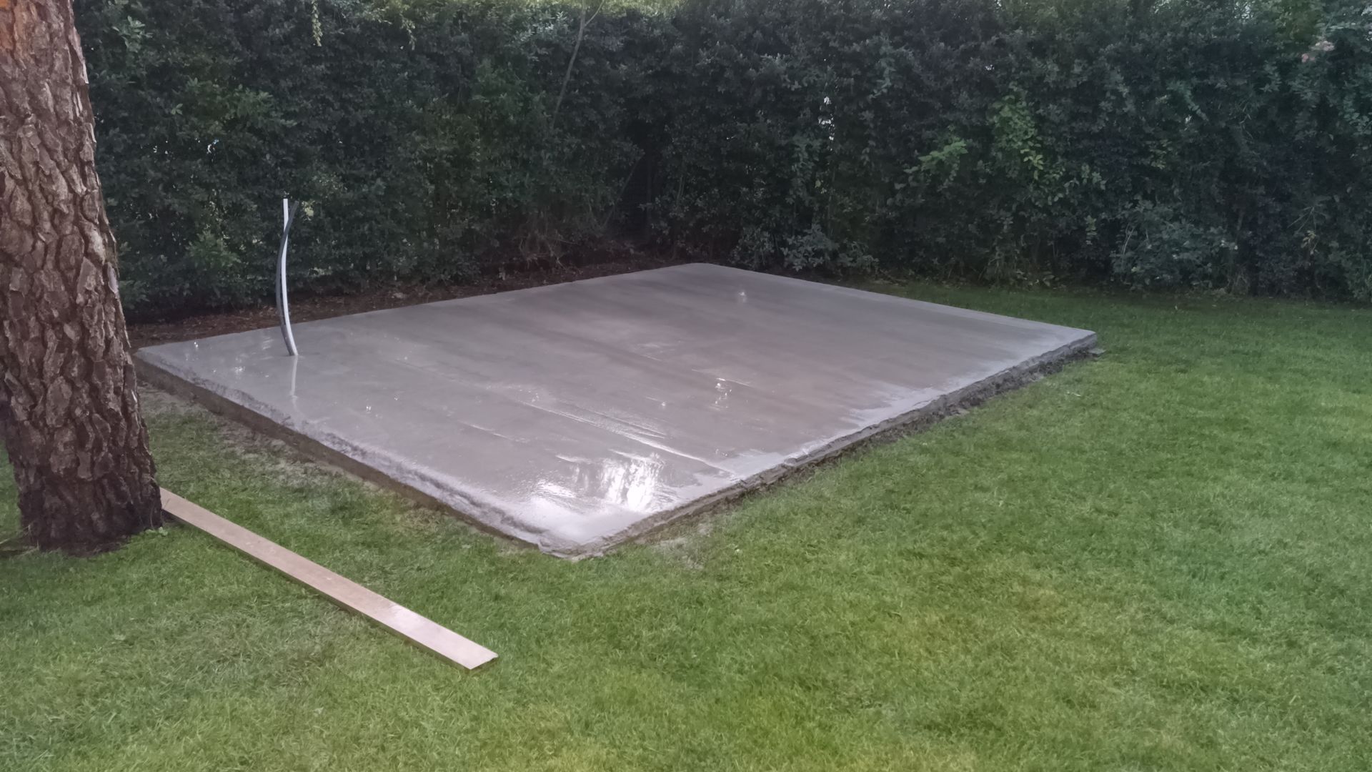 Pátio de concreto recém-construído em um gramado, próximo a uma árvore e arbustos verdes.