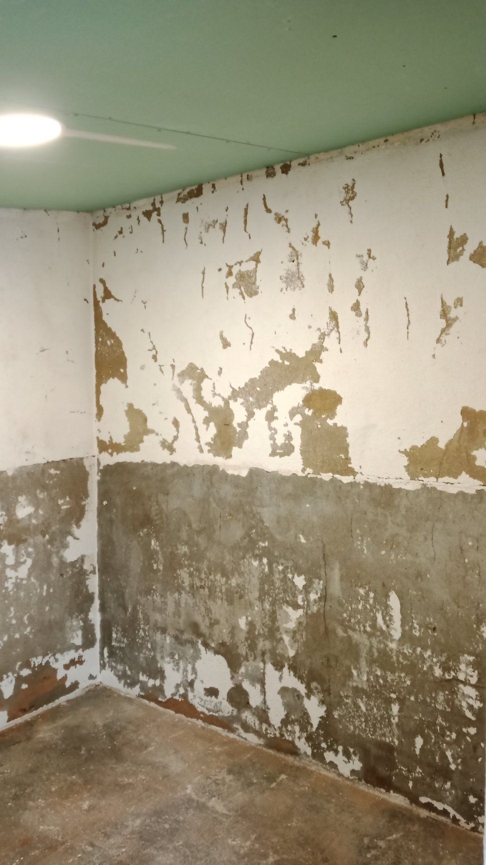 Canto de um cômodo com tinta branca descascando sobre uma parede marrom e cinza. O teto é verde.