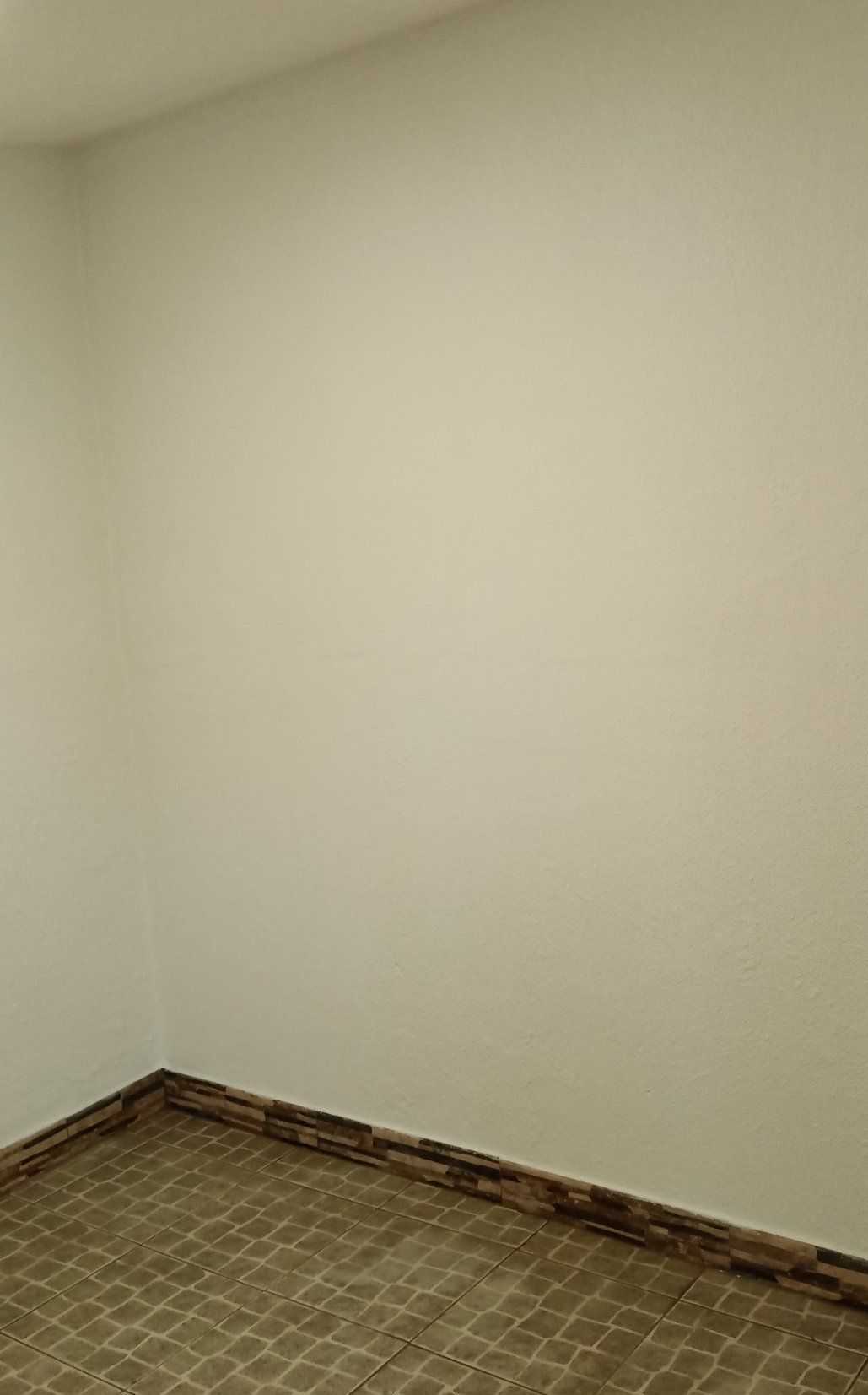 Canto de uma sala com paredes em tom branco-sujo, detalhes em marrom e carpete estampado em tons de marrom e bege.