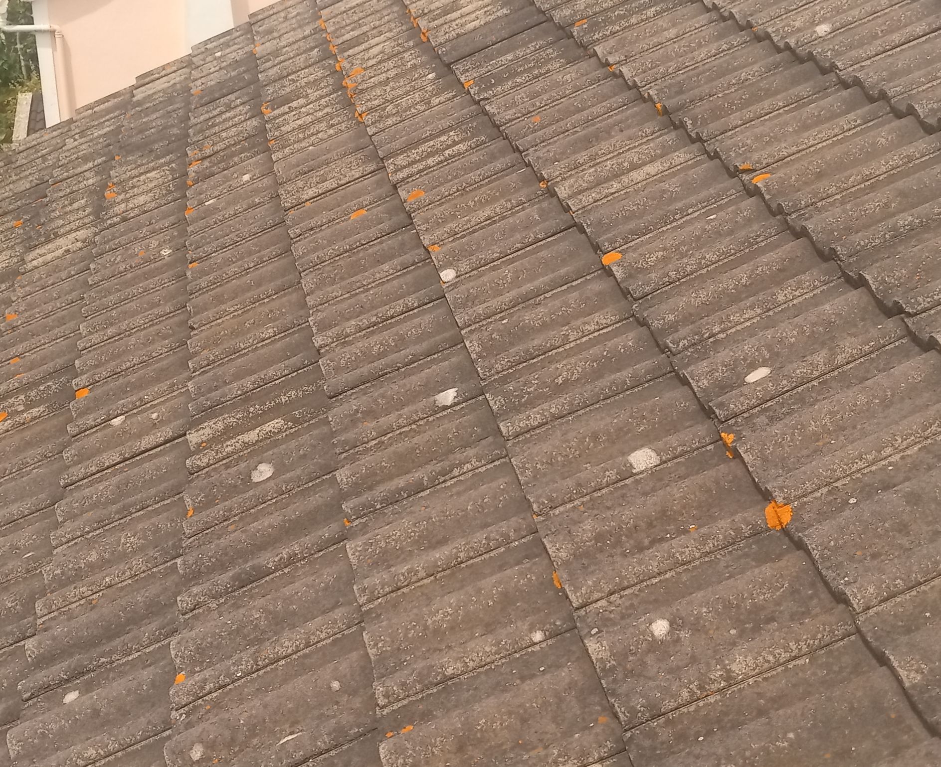 Detalhe de um telhado de telhas, mostrando telhas cinzentas desgastadas com manchas laranja e brancas.