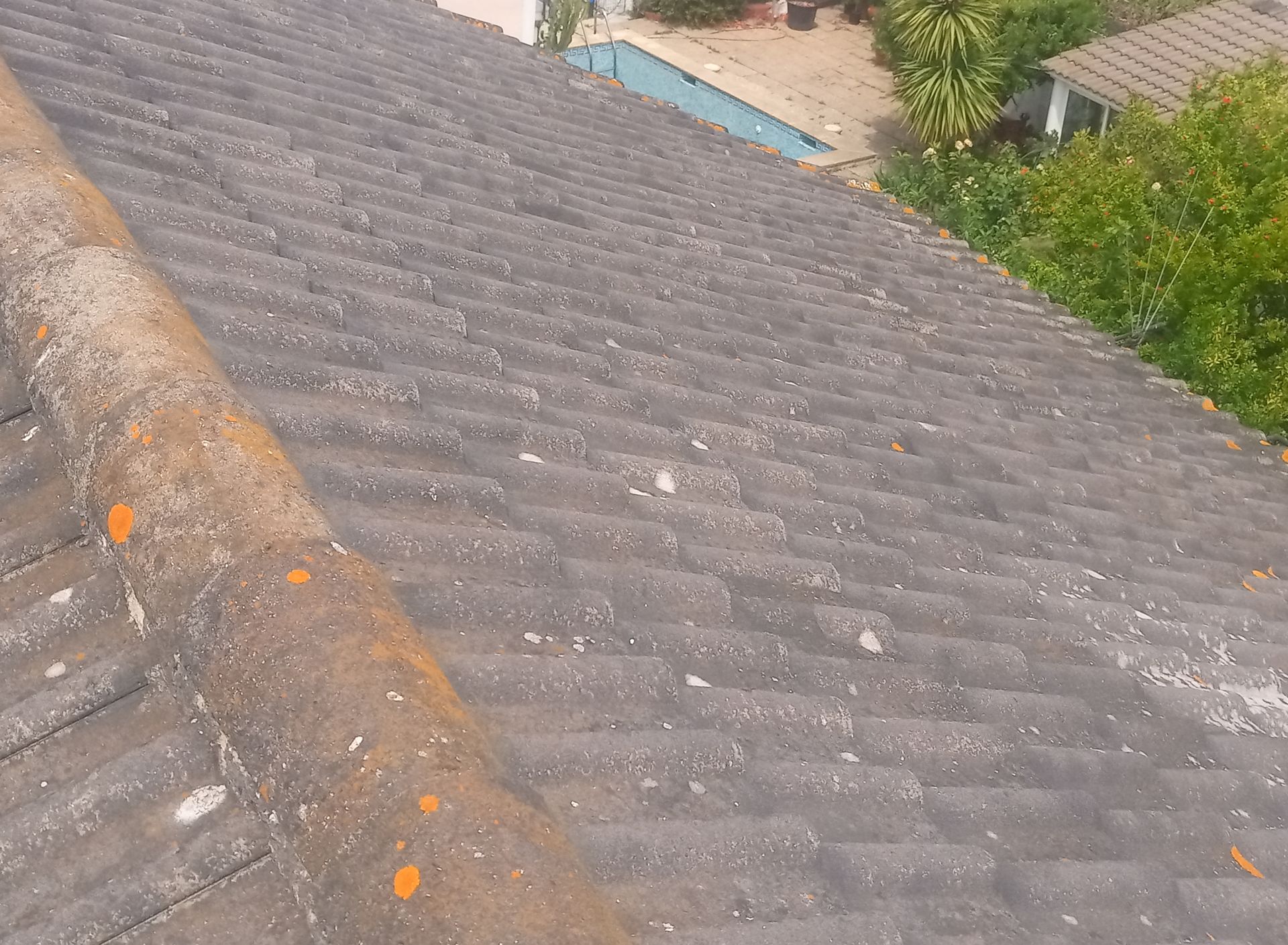 Telhado de telhas cinzentas e laranjas com líquen e detritos visíveis.